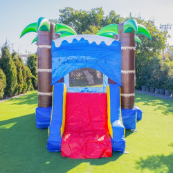 Ocean Shark Bounce House Combo