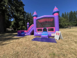 517379832 673924869023521 5674147159053986224 n 1752599983 Purple Castle Combo - Dry